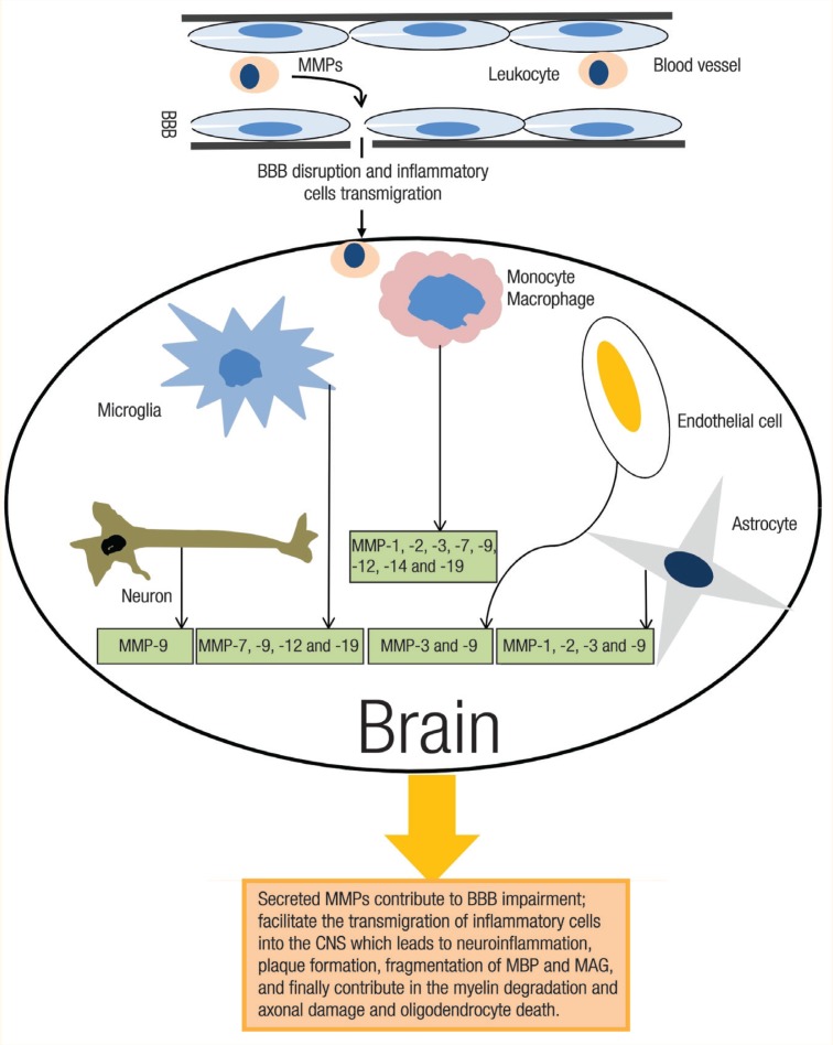 Figure 1: