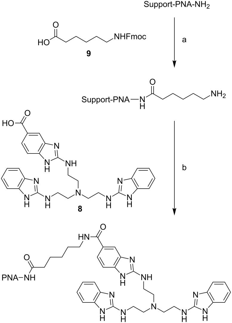 Scheme 3