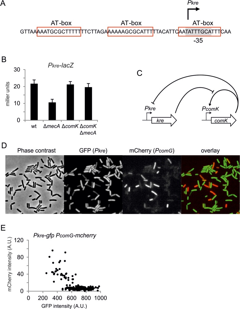 Fig 8