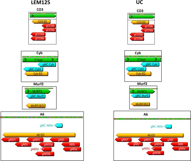 Fig 7