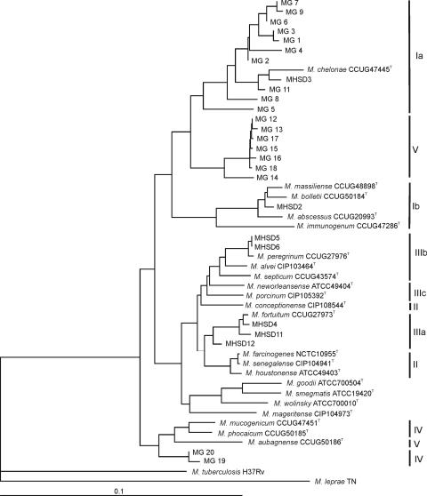 FIG. 3.