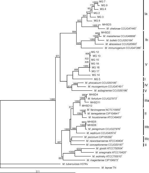 FIG. 2.