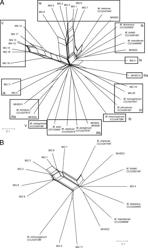 FIG. 4.