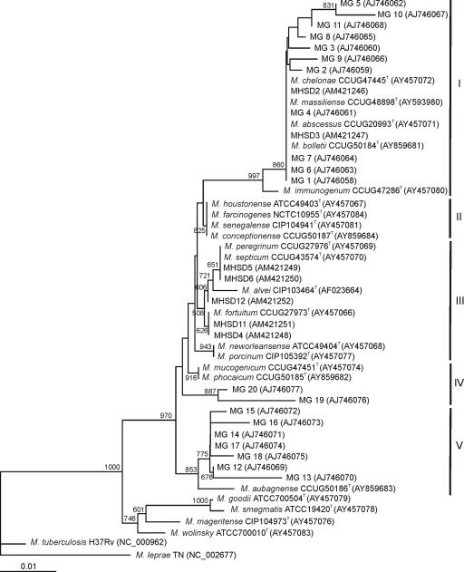 FIG. 1.