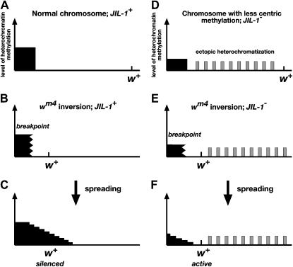 Figure 2.—