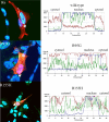 FIGURE 11.