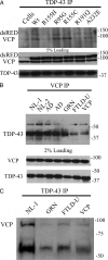 FIGURE 14.