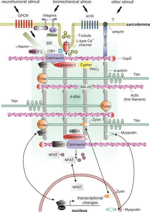 FIGURE 2.