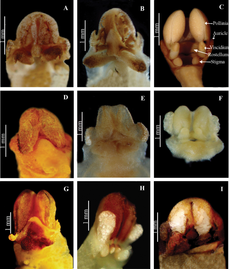 Figure 10.