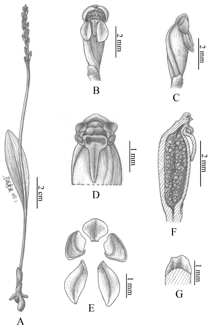 Figure 12.