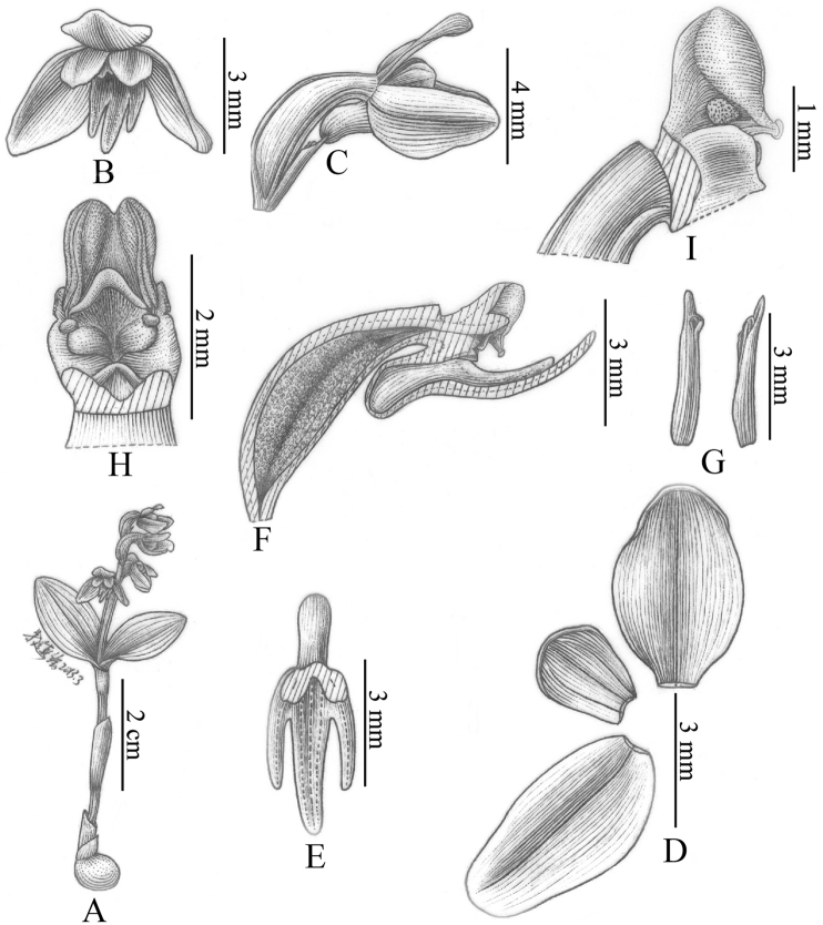 Figure 13.