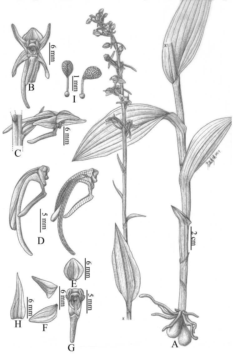 Figure 14.