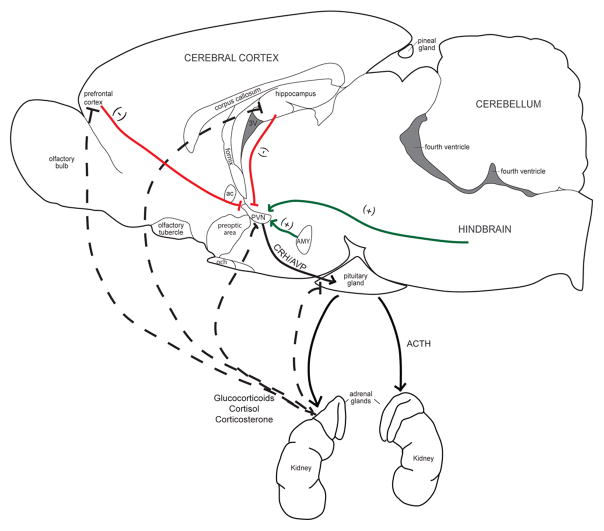 Figure 8