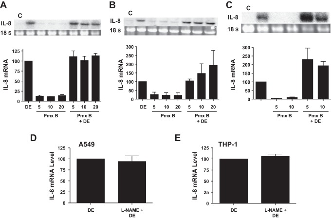 Fig. 8.