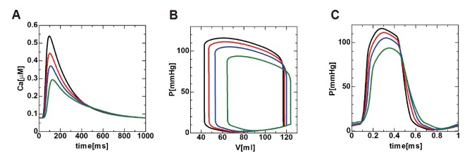 Fig. 8