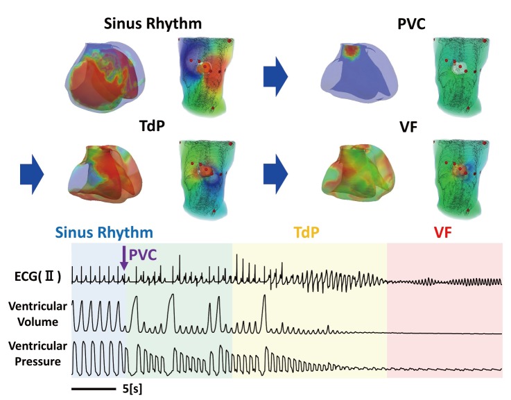 Fig. 7