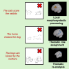 Graphical Abstract