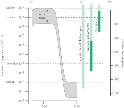 Figure 4.