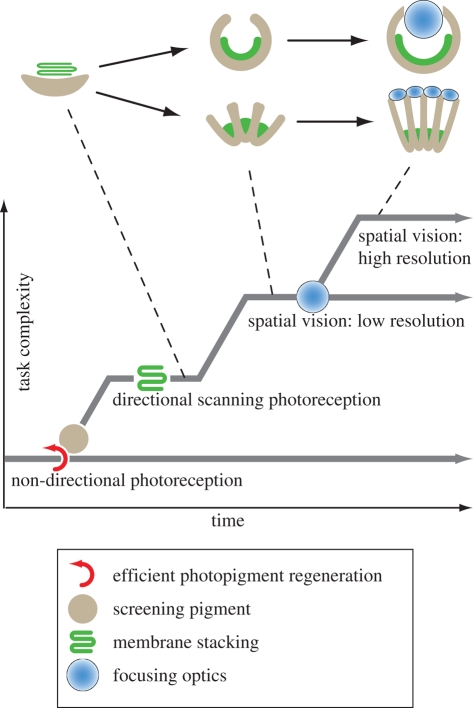 Figure 5.