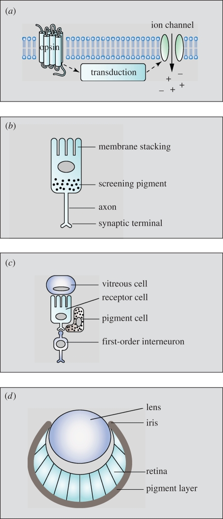 Figure 2.