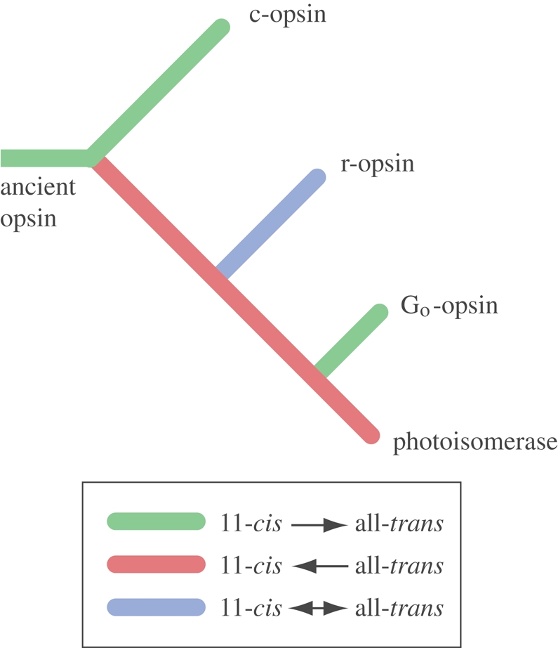 Figure 3.