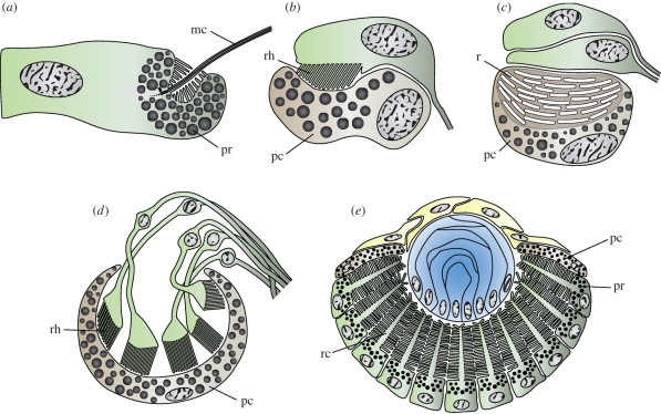 Figure 1.