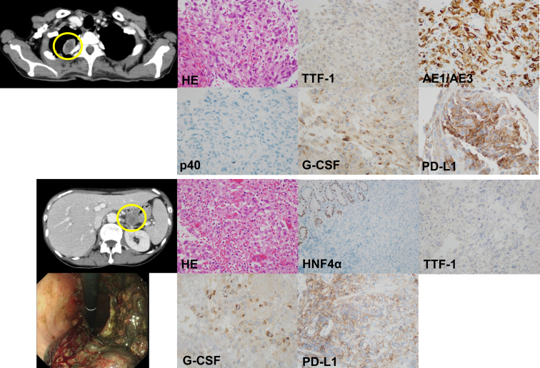 Figure 1