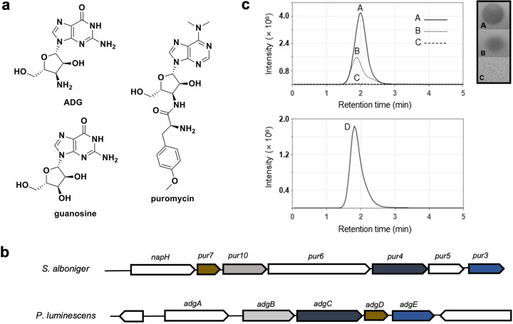 FIG 1