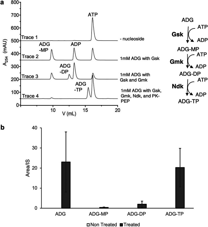 FIG 3