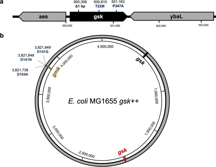 FIG 2