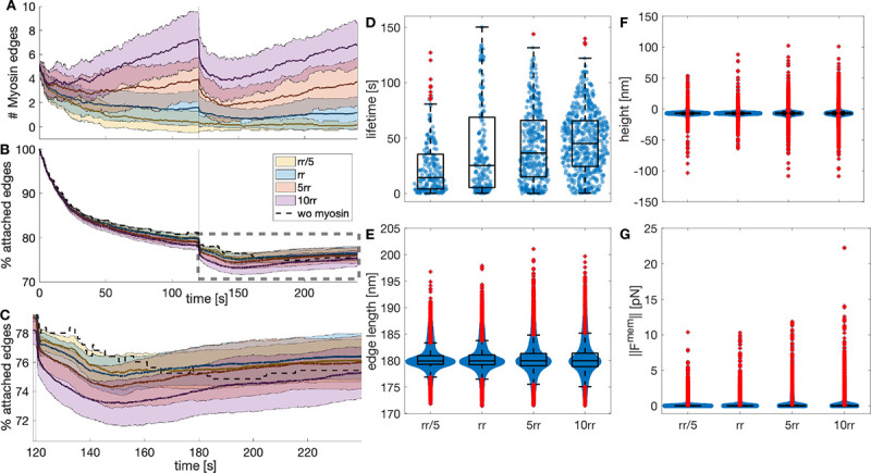 Figure 6: