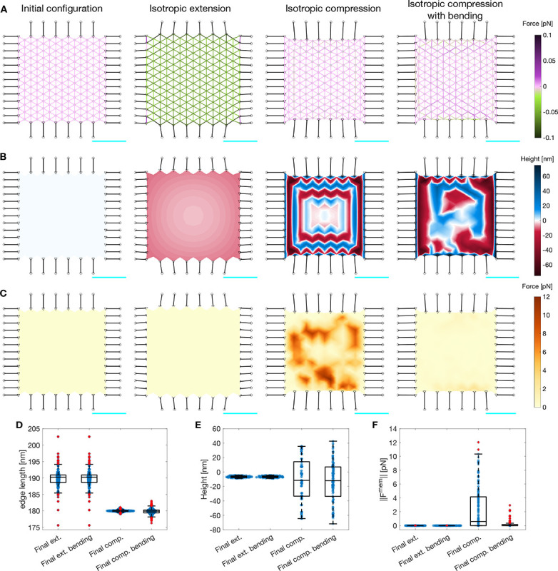 Figure 3: