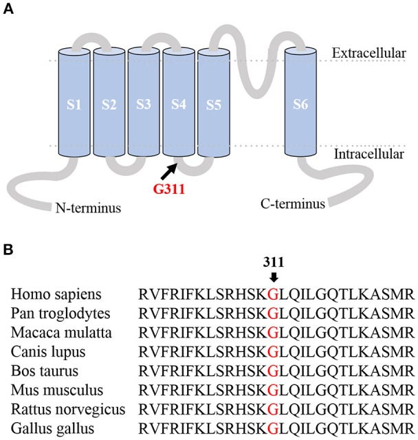 Figure 1