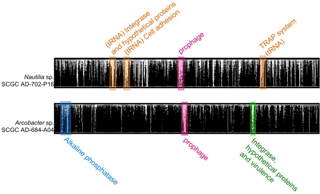 FIGURE 3