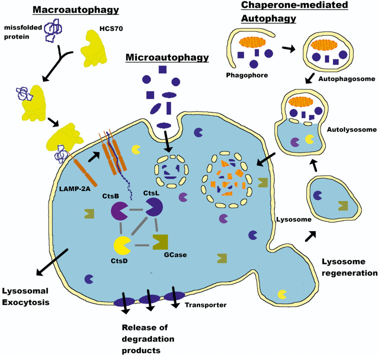 FIGURE 1