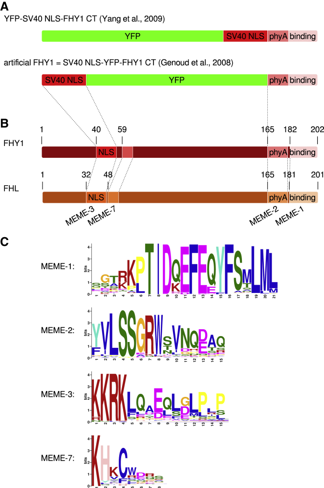 Figure 1