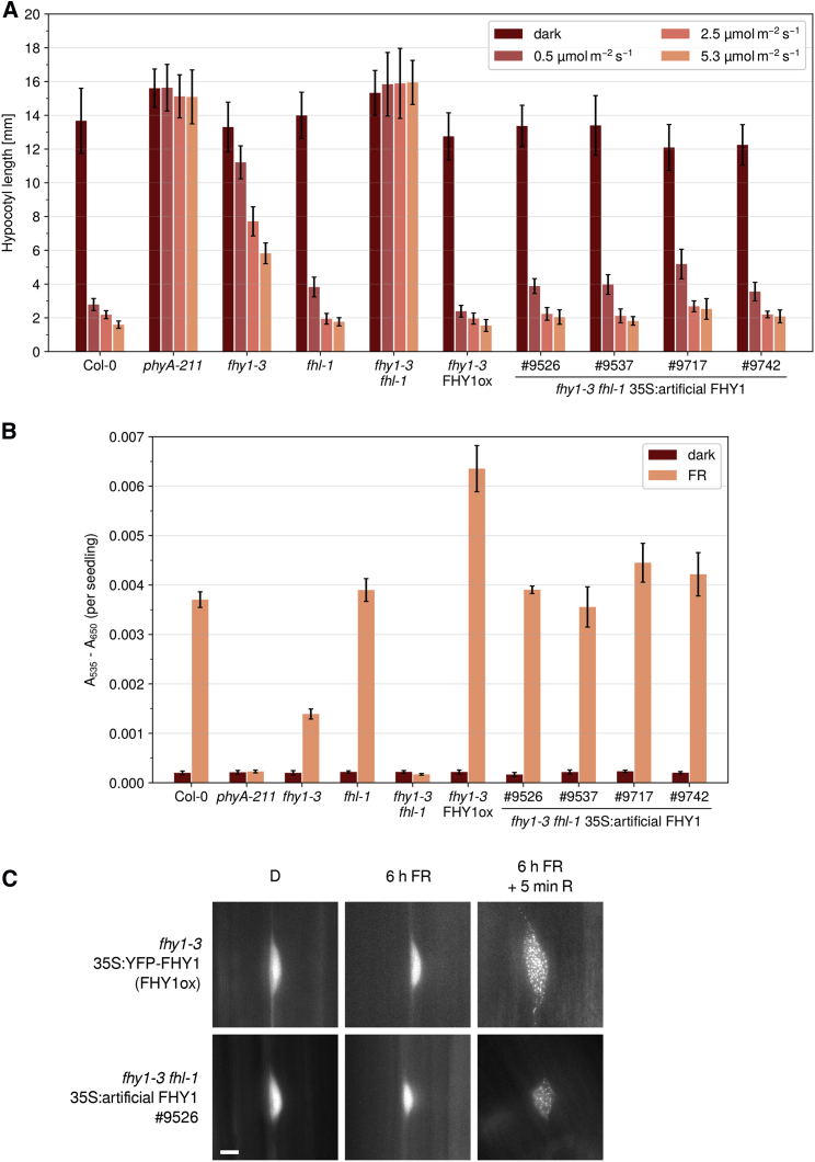 Figure 2