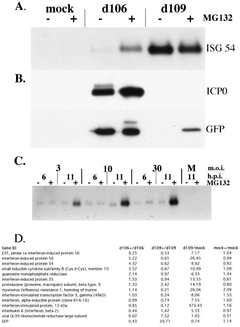 FIG. 6.