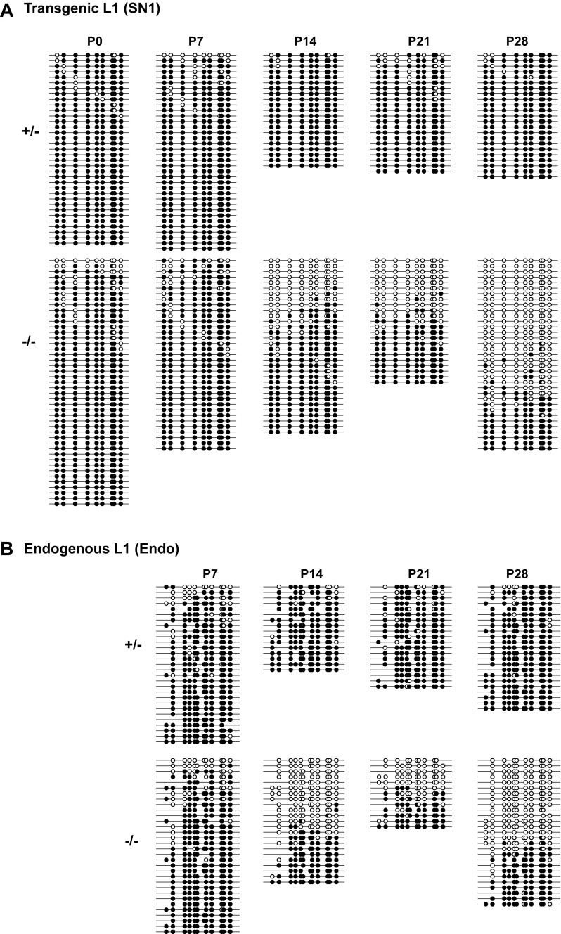 Fig. S5.