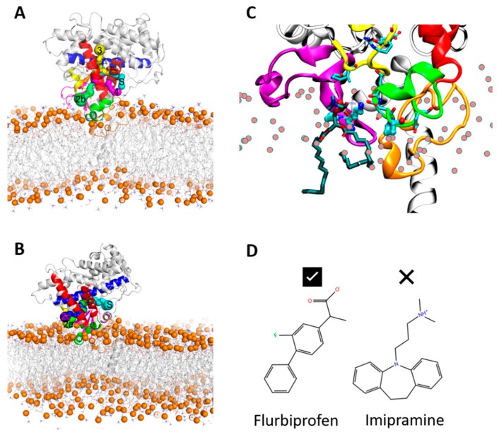 Figure 6