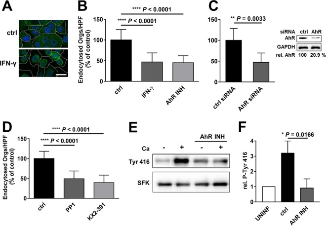 FIG 3 