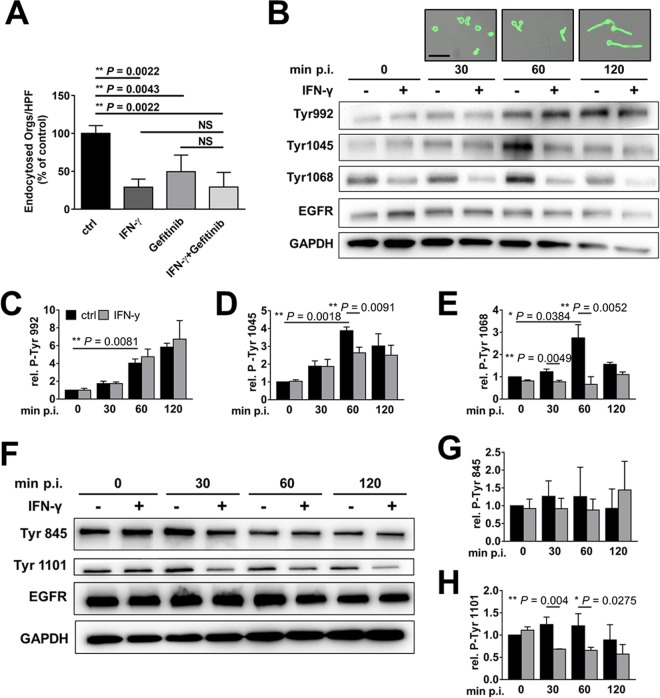 FIG 4 