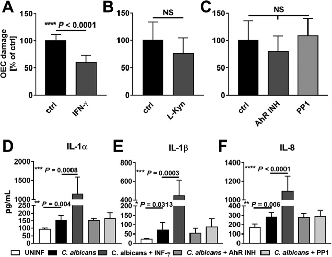 FIG 6 