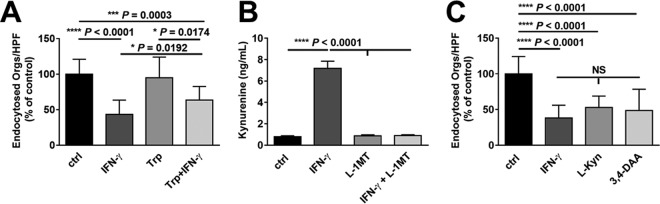 FIG 2 