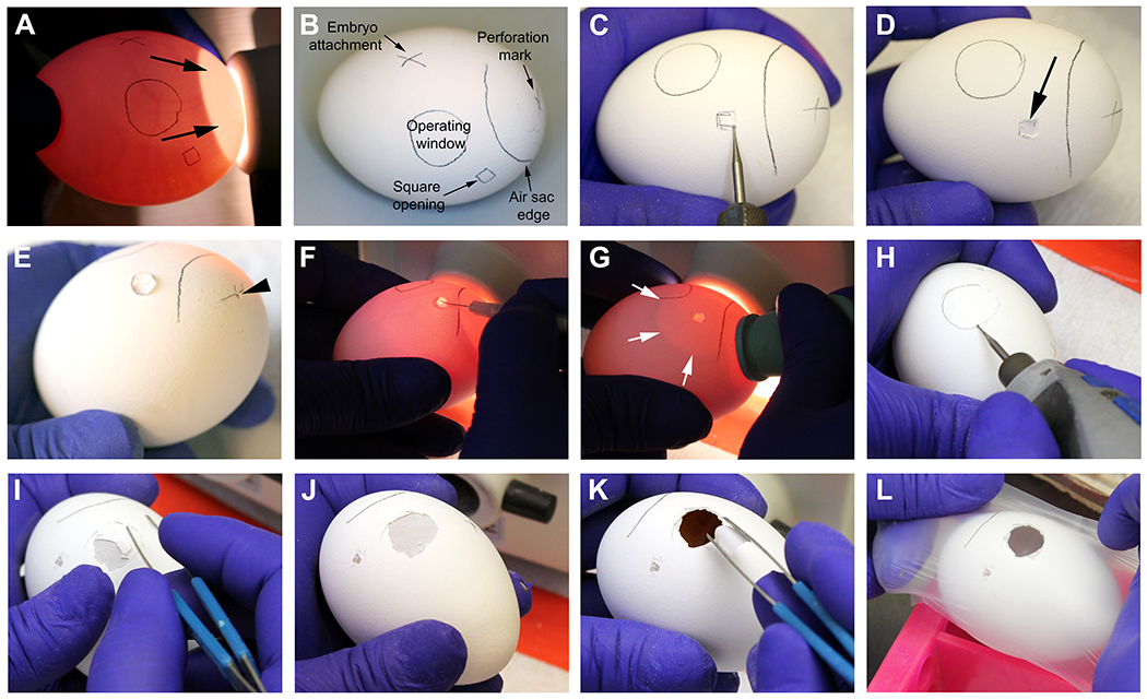 Figure 3: