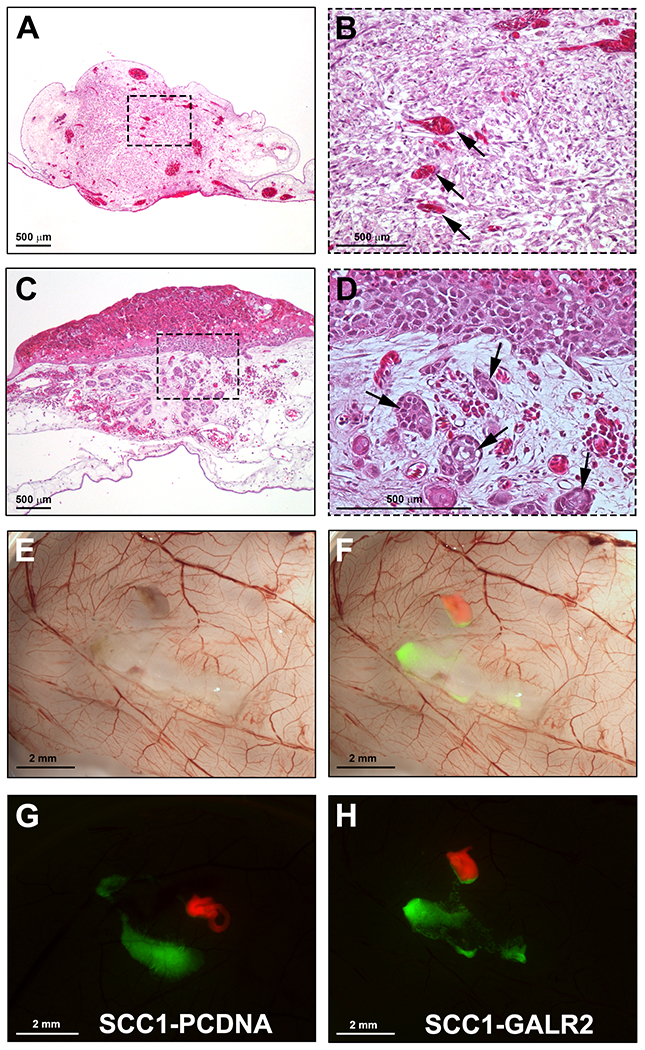 Figure 5: