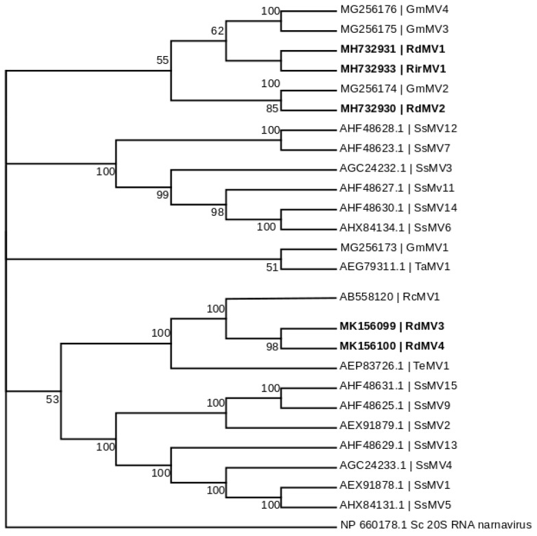 Figure 2