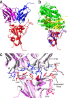 FIGURE 4