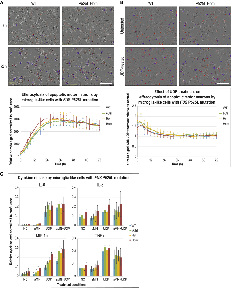 Figure 6