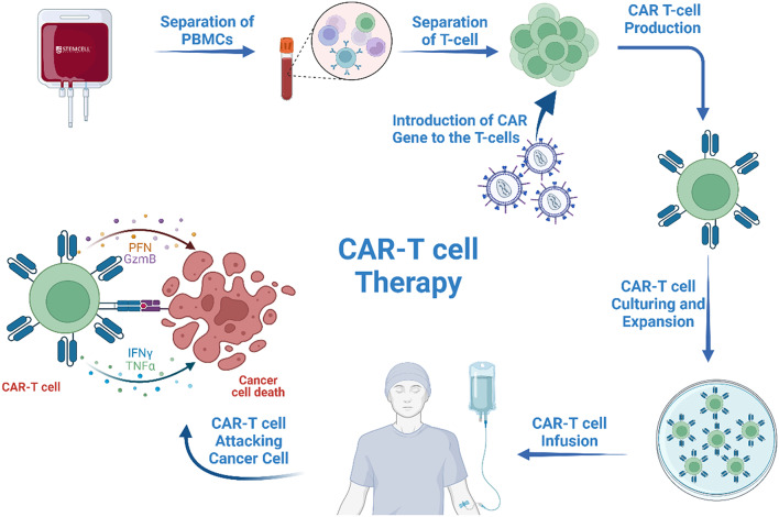 graphic file with name 12015_2024_10786_Figa_HTML.jpg